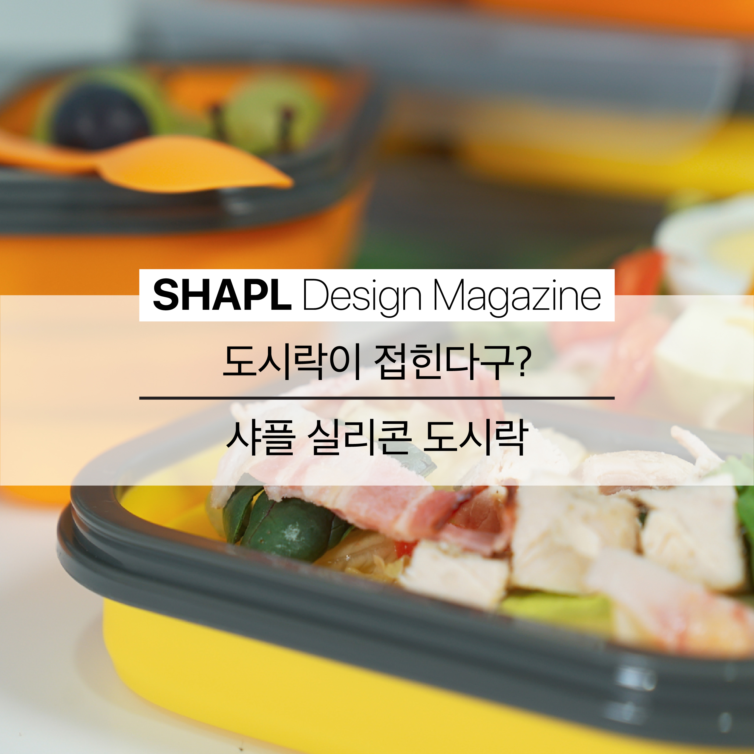 [SHAPL Design Magazine] 도시락이 접힌다구? 샤플 실리콘 도시락