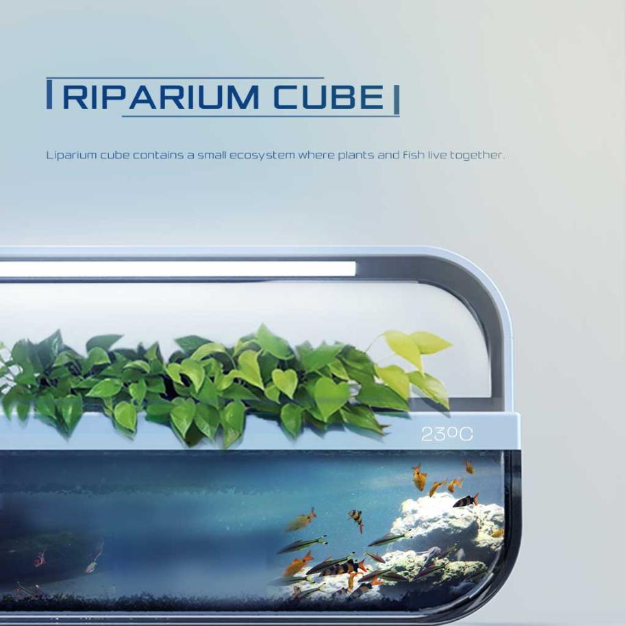 RIPARIUM CUBE