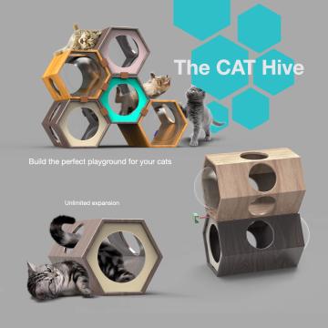 The Cat Hive