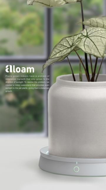 Aloam