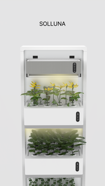 SOLLUNA - Plant Growing Kit