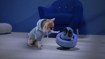  Smoopy(Smart pet care robot)