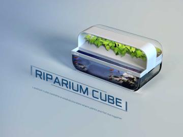 RIPARIUM CUBE